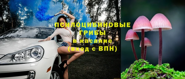 марки nbome Гусев