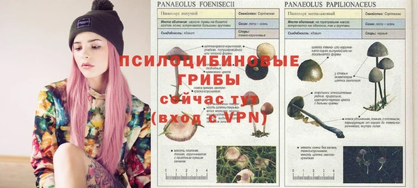 марки nbome Гусев