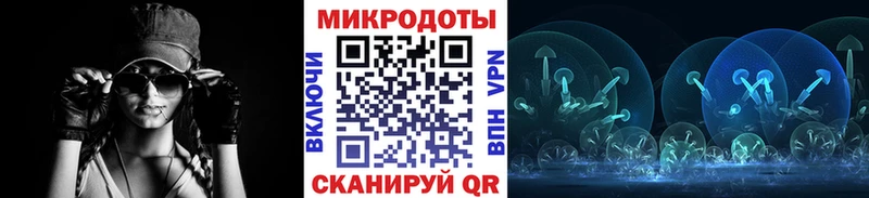 Псилоцибиновые грибы MAGIC MUSHROOMS  Камбарка 